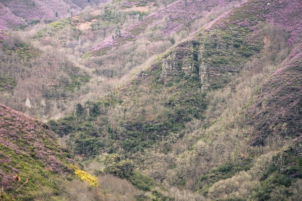 Comment établir un plan de succession efficace pour assurer la pérennité d'une entreprise familiale de viniculture ?